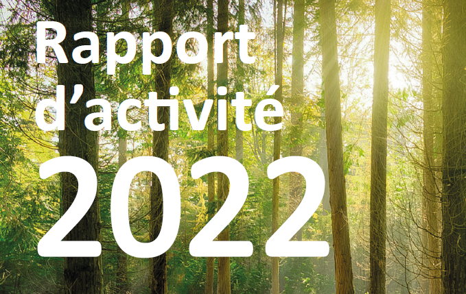 Rapport d'activité 2022